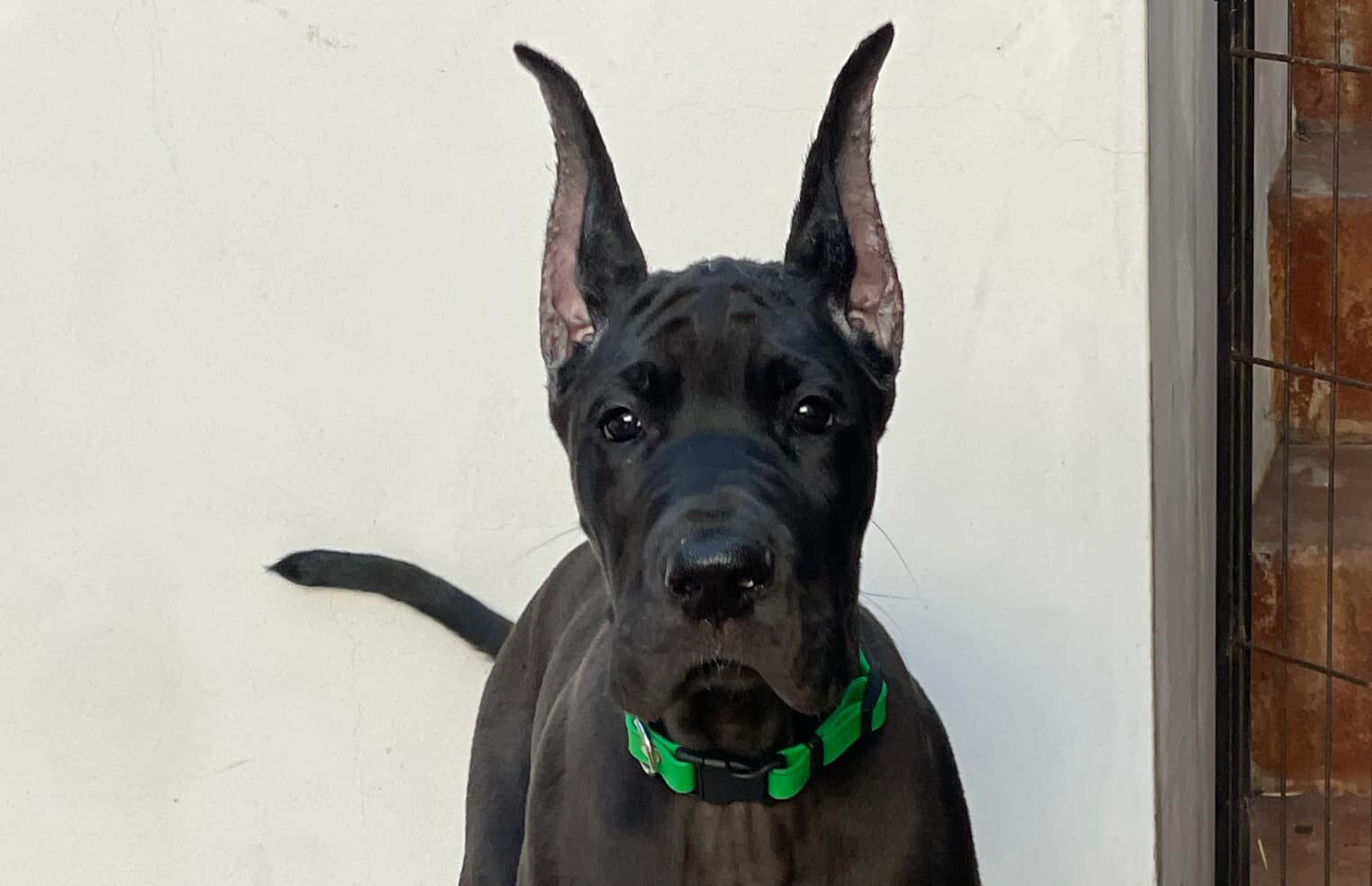 Messenger_creation_B3EE29A8-EE2A-49F5-A474-B7667E9B75BE