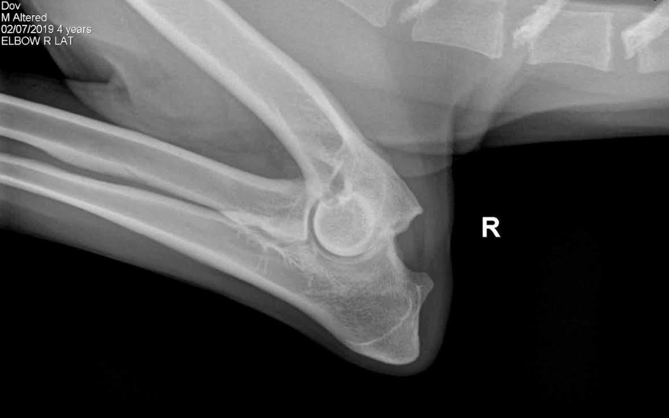 Screenshot 2025-01-28 210439