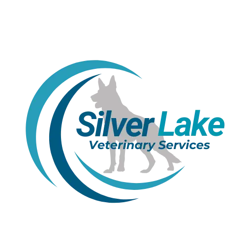 Silver lake-transparent